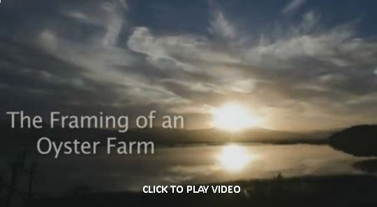 CLICK TO PLAY VIDEO